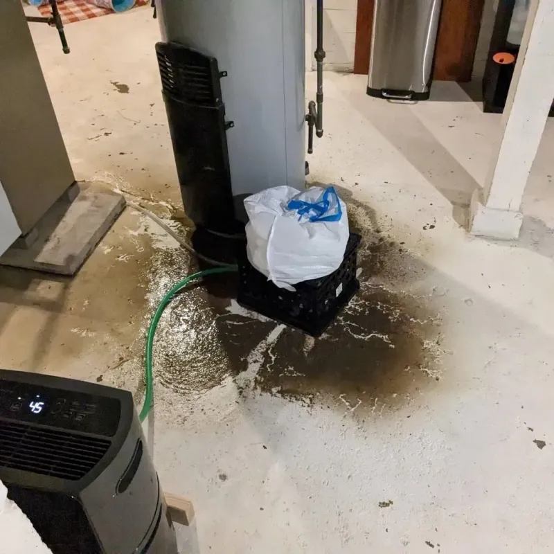 Sewage Backup Cleanup Service in East Helena, MT